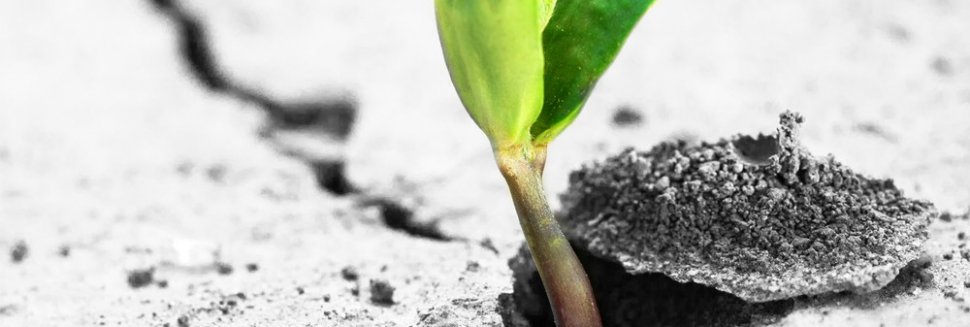 Выгода в Аутсорсинге